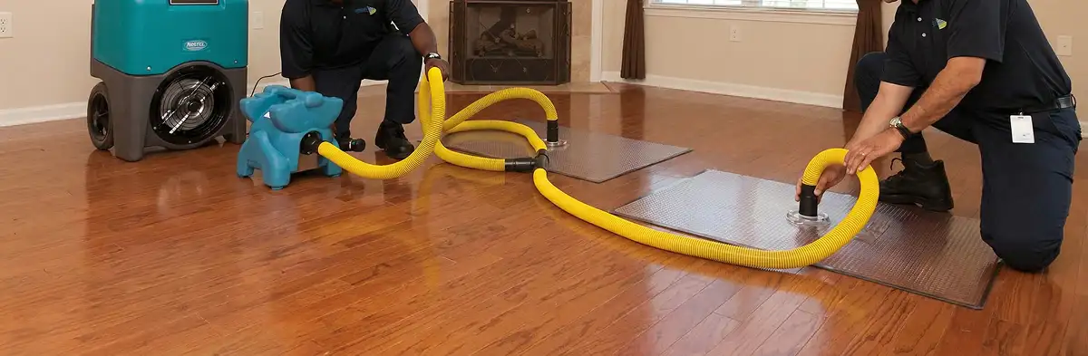 emergency water removal technicians extracting standing water from a home using professional equipment in Albany, NY