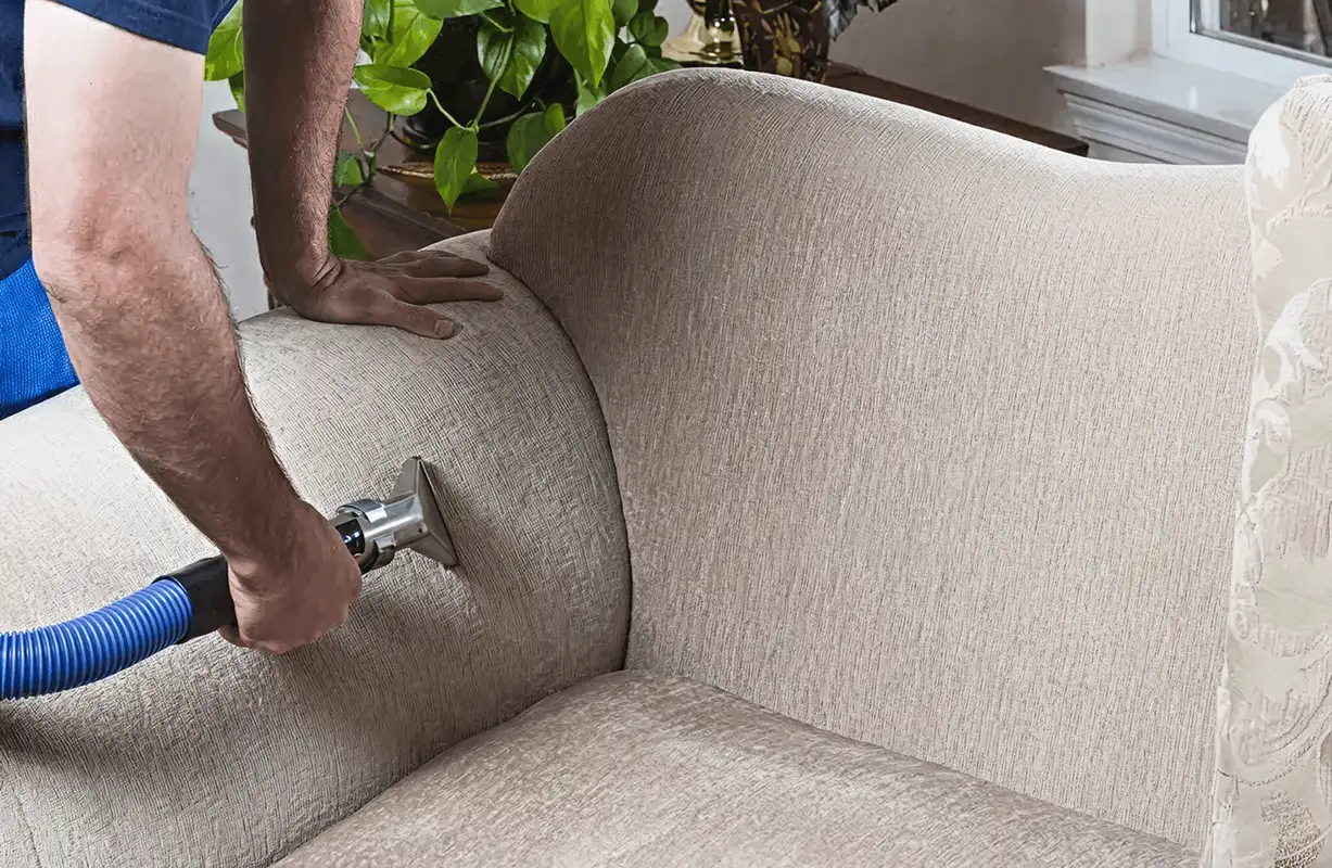 Professional upholstery cleaner deep-cleaning a fabric sofa with a handheld extraction tool and hose, Albany, NY.